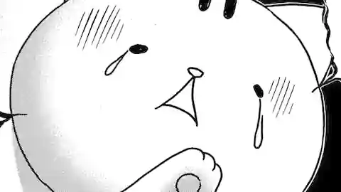 Thumbnail of Chapter 8