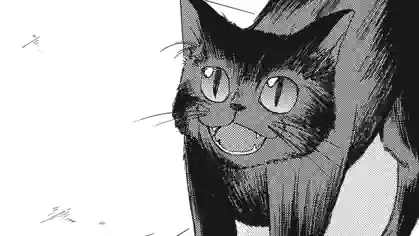 Thumbnail of Chapter 22 -1