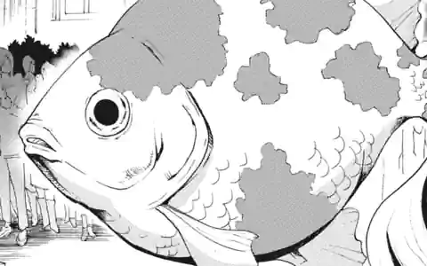 Thumbnail of Chapter ×-1