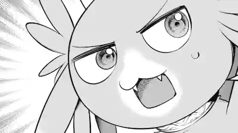 Thumbnail of Chapter 11.2