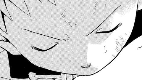 Thumbnail of Chapter 29 -2