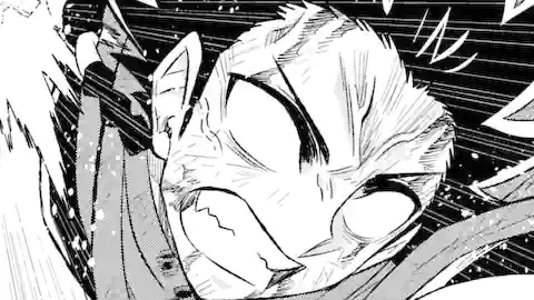 Thumbnail of Chapter 55.3