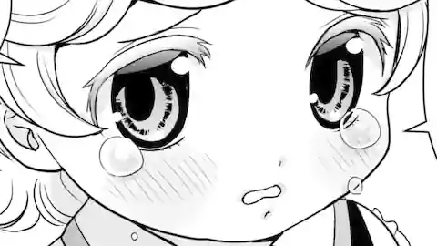 Thumbnail of Chapter 12.3