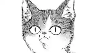 Thumbnail of Chapter 15 -1
