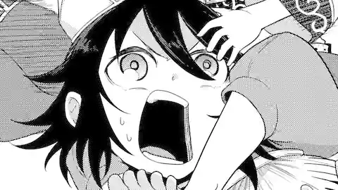 Thumbnail of Chapter 16.1