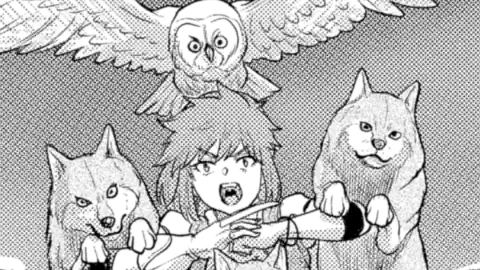 Thumbnail of Chapter 25.2