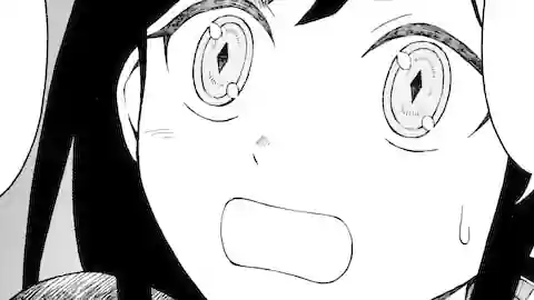 Thumbnail of Chapter 20.2