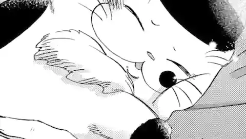 Thumbnail of Chapter 17