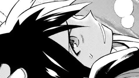 Thumbnail of Chapter 33.5