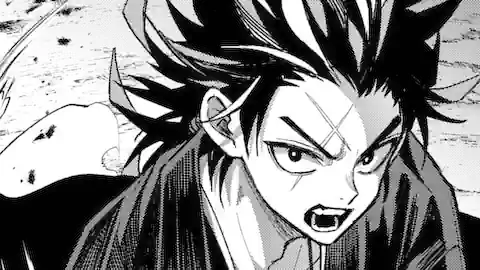 Thumbnail of Chapter 24.2