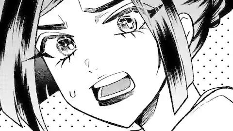 Thumbnail of Chapter 20.2