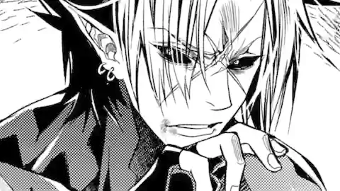 Thumbnail of Chapter 26.3