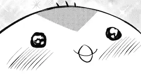 Thumbnail of Chapter 13.5
