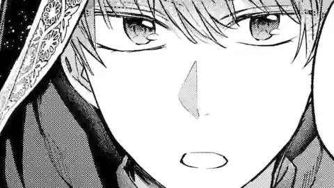 Thumbnail of Chapter 30.1