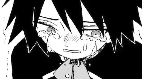 Thumbnail of Chapter 28.52