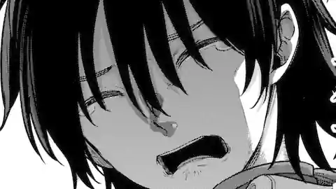 Thumbnail of Chapter 15.1