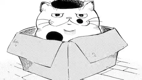 Thumbnail of Chapter 4