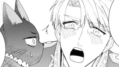 Thumbnail of Chapter 28.3
