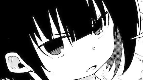 Thumbnail of Chapter 20.1