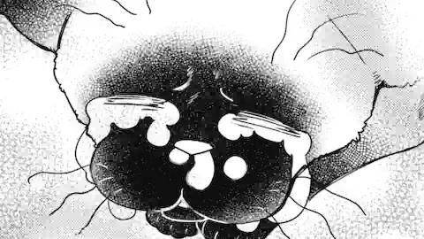 Thumbnail of Chapter 87 -2