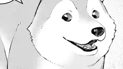 Thumbnail of Chapter 51.4