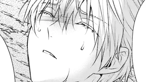 Thumbnail of Chapter 17.1