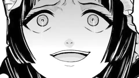 Thumbnail of Chapter 106.1