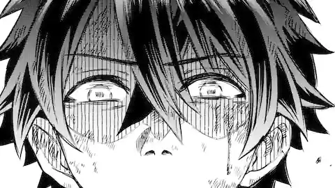 Thumbnail of Chapter 15.1