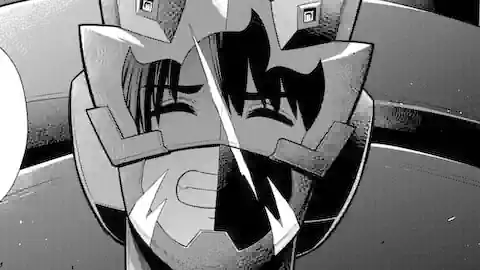 Thumbnail of Chapter 29.4