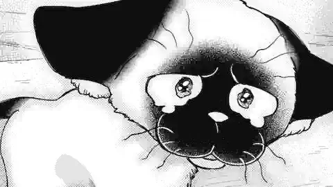 Thumbnail of Chapter 90 -2