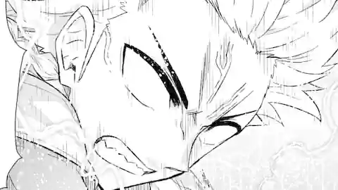 Thumbnail of Chapter 48.2