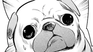 Thumbnail of Chapter 80 -1