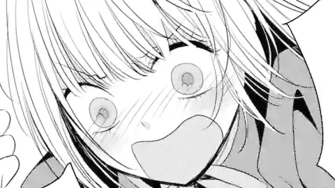 Thumbnail of Chapter 17.1