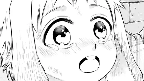 Thumbnail of Chapter 93.3