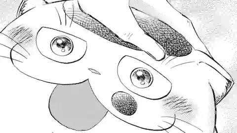 Thumbnail of Chapter 25