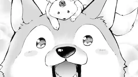 Thumbnail of Chapter 47.1