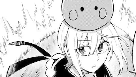 Thumbnail of Chapter 29.3