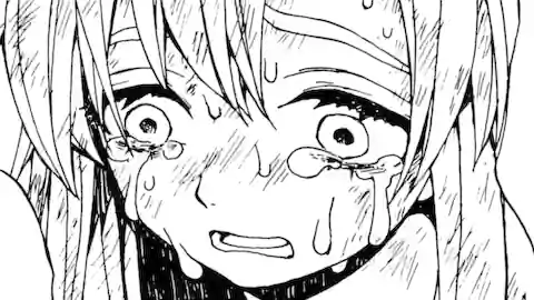 Thumbnail of Chapter 11.1