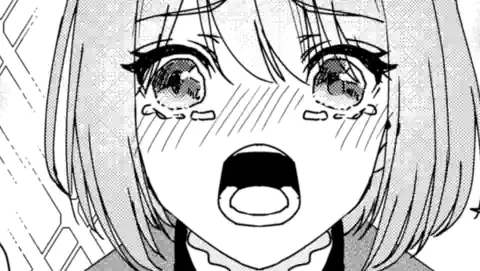 Thumbnail of Chapter 11.1