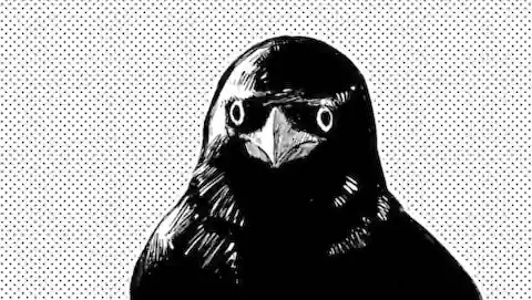Thumbnail of Chapter 19.2