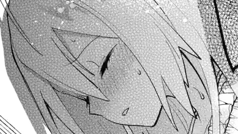 Thumbnail of Chapter 20.4