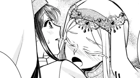 Thumbnail of Chapter 20.3