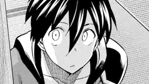 Thumbnail of Chapter 43.3