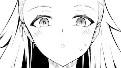 Thumbnail of Chapter 2.51