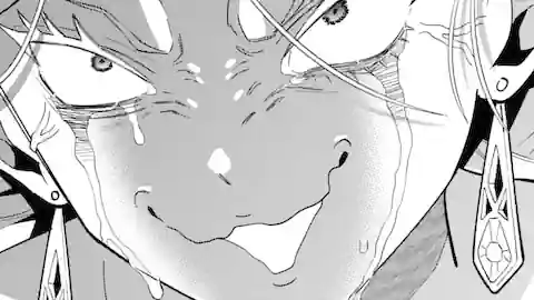 Thumbnail of Chapter 71.3