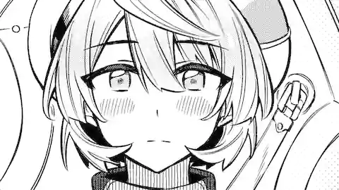 Thumbnail of Chapter 17.1