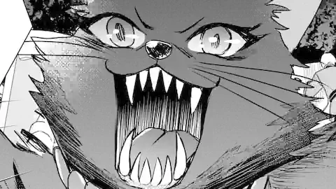 Thumbnail of Chapter 53.2
