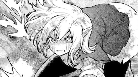 Thumbnail of Chapter 33.3