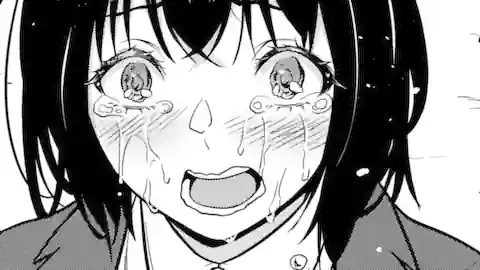 Thumbnail of Chapter 24.5