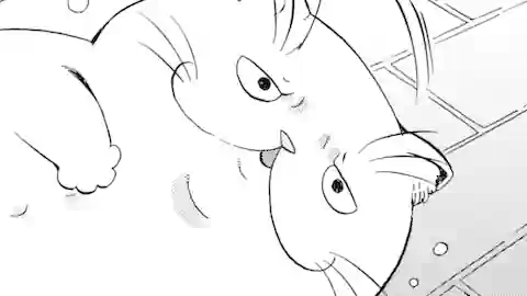 Thumbnail of Chapter 8